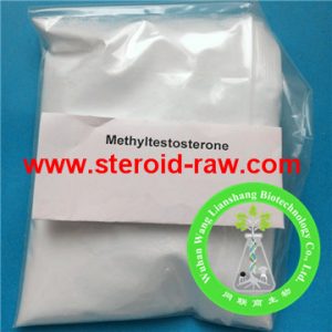 17-methyltestosterone-2