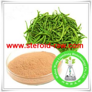 green-tea-extract