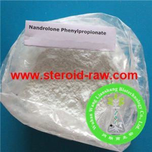 nandrolone-phenylpropionate-2