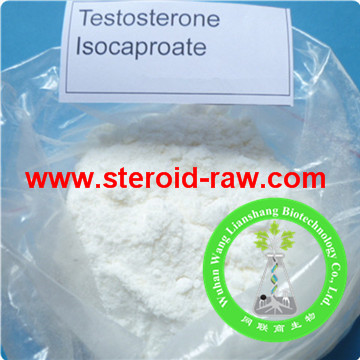 Testosterone Isocaproate