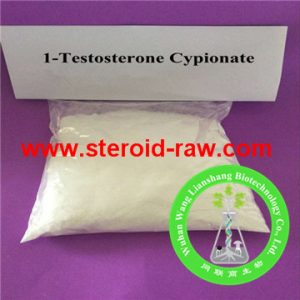 1-Testosterone Cypionate 1