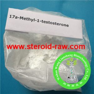 17a-methyl-1-testosterone-1