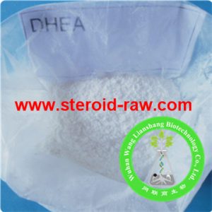dehydroepiandrosterone-2