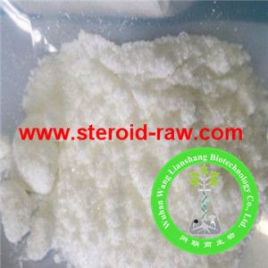 dehydroepiandrosterone-acetate-1