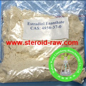 estradiol-enanthate-1