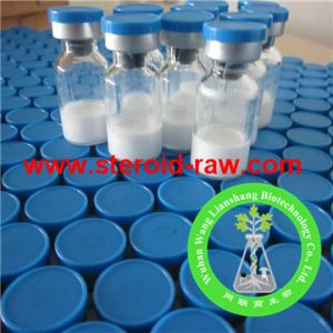 follistatin-315-1mg