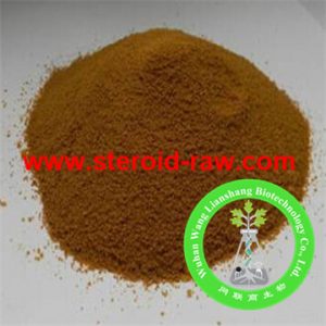 hydroxycitric-acid-1