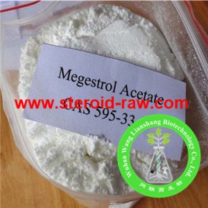 megestrol-acetate-1