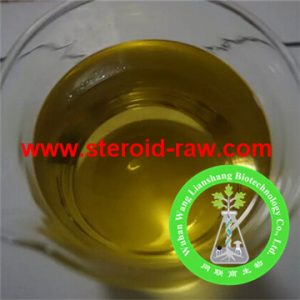 nandro-test-depot-450