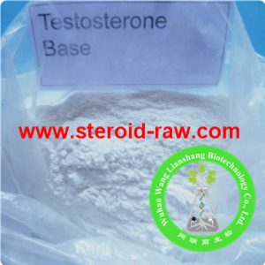 Testosterone Base 1