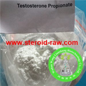 Testosterone Propionate 1