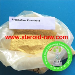 trenbolone-enanthate-2